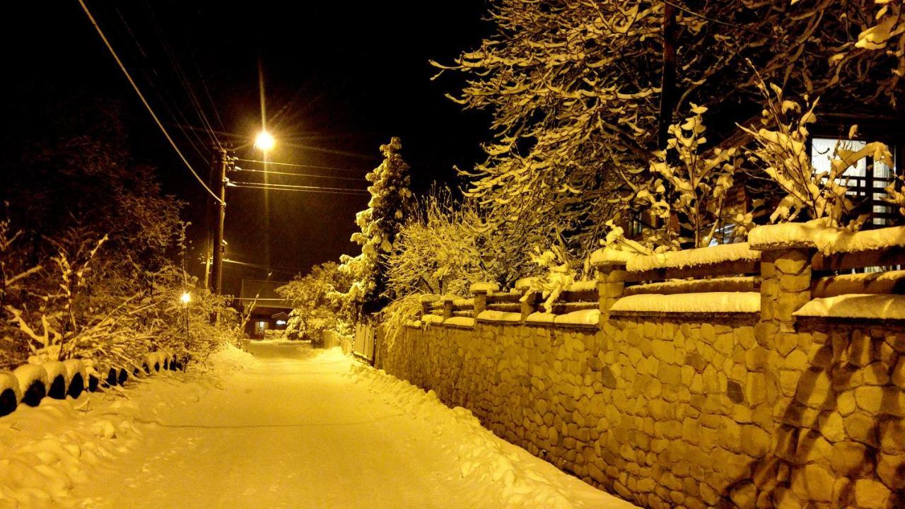 Апартаменти З Двома Спальнями І Кухнею Yaremche Exterior foto